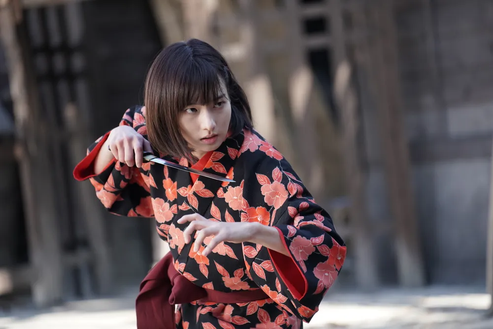 shogun's ninja