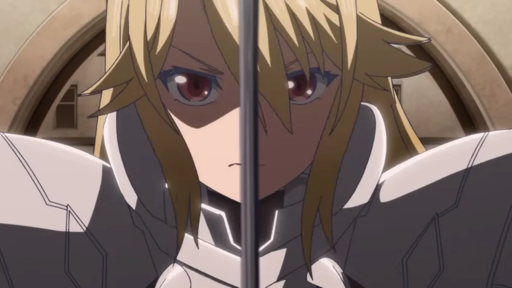 noble reincarnation anime