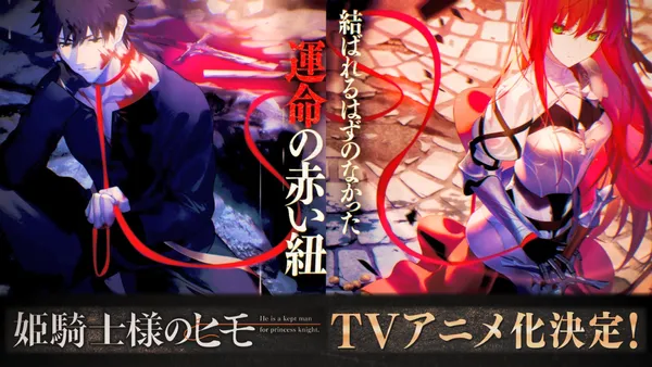 Image for The Kept Man of the Princess Knight Anime Announced